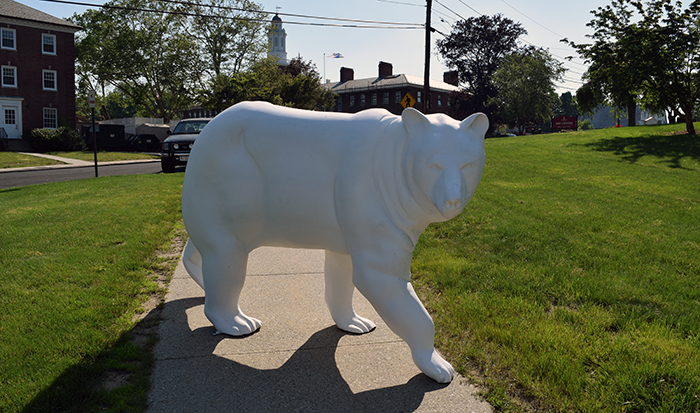 Bears